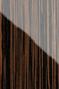 quarta-evoluzione-zebrano-detail